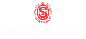 Shree Satya Logo (1)